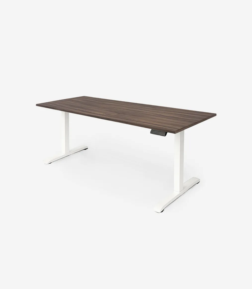 Smart Desk 2 motores